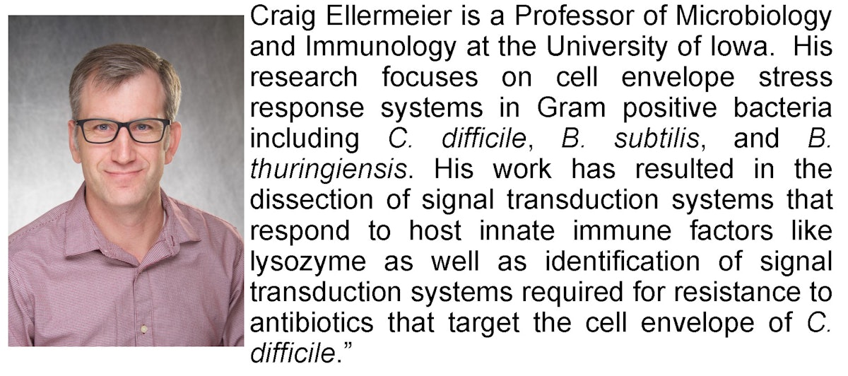 Dr. Craig Ellermeier