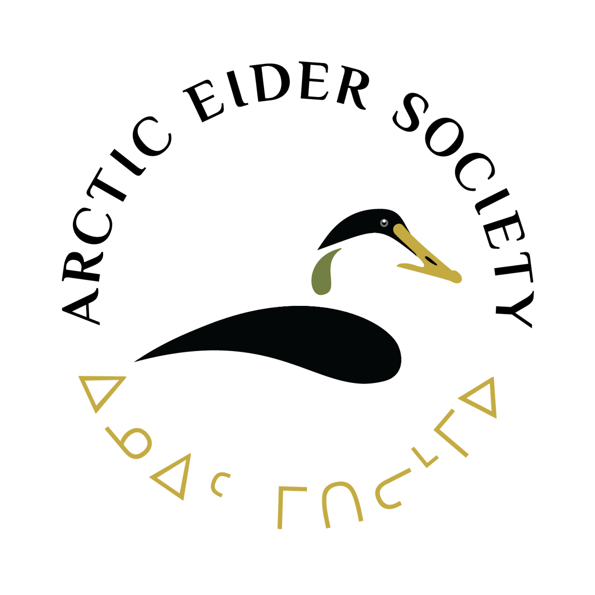 Arctic Eider Society