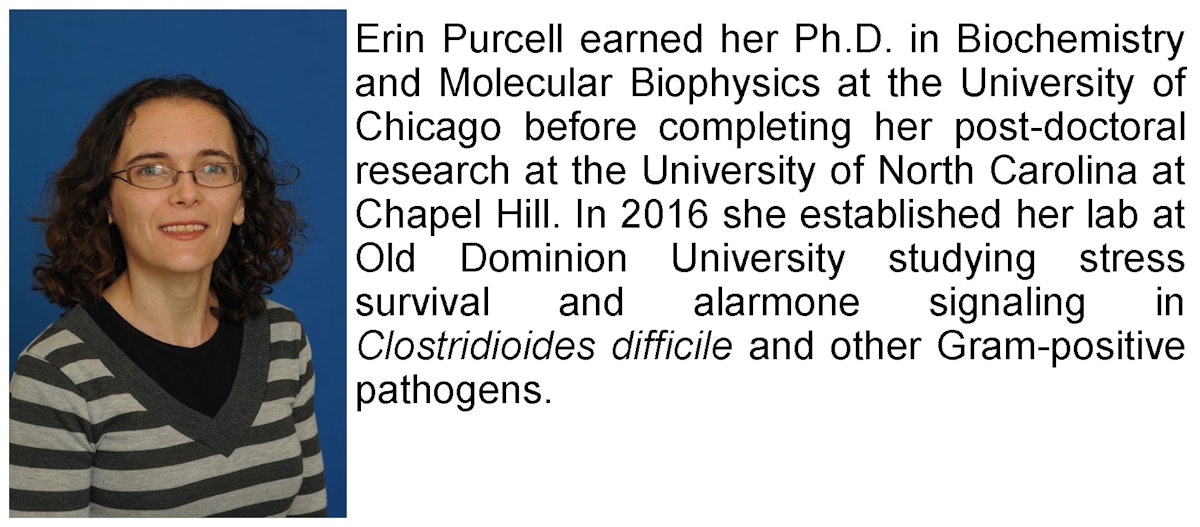 Dr. Erin Purcell