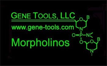 Gene Tools, LLC