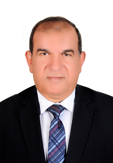 Prof. Dr. Ahmed Mohamed Ali Youssef