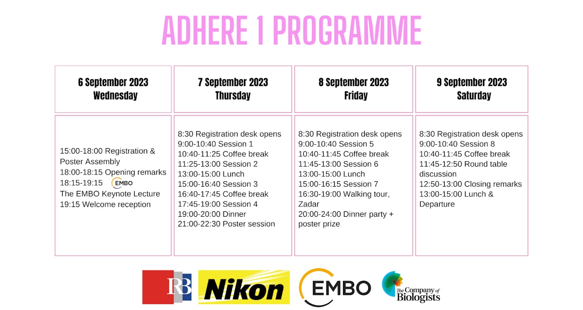 Adhere 1 program (1).png