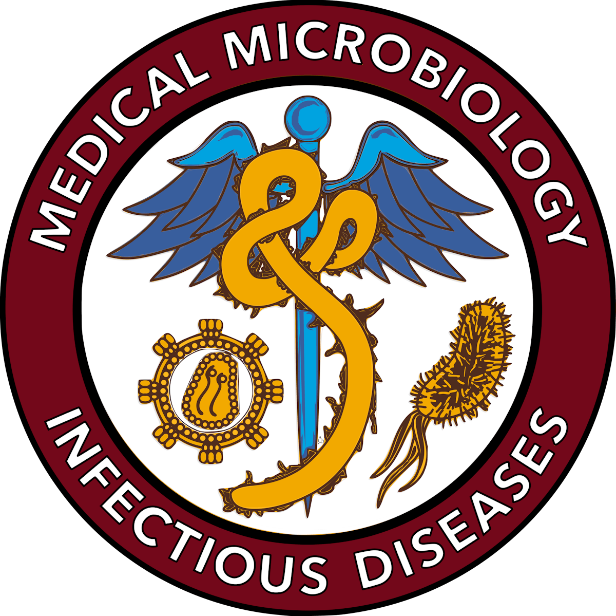Department of Microbiology & Infectious Diseases