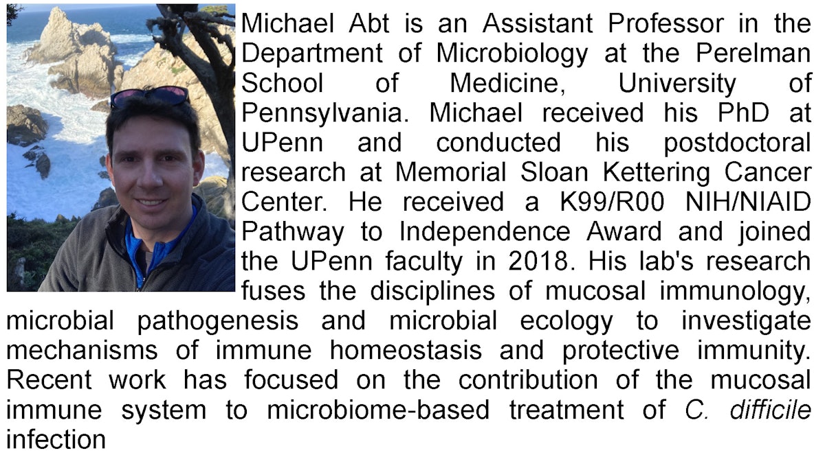 Dr. Michael Abt
