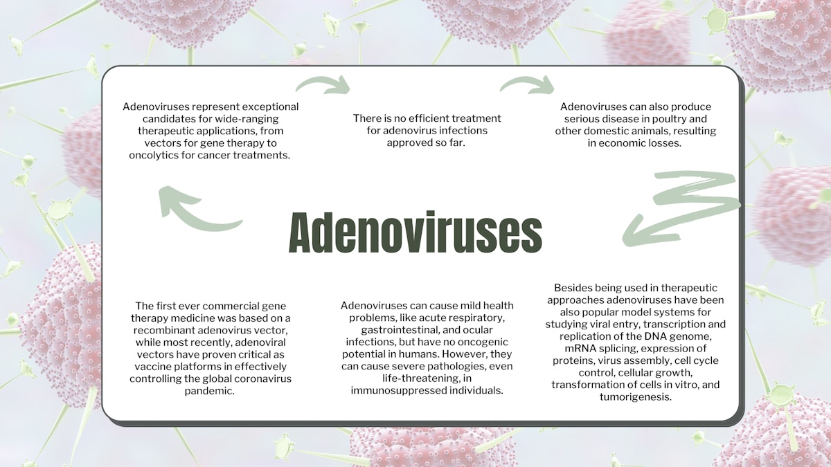 Adenovirus – kopija (2).png